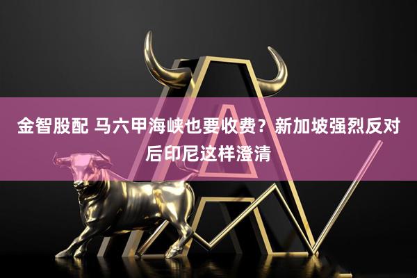 金智股配 马六甲海峡也要收费？新加坡强烈反对后印尼这样澄清