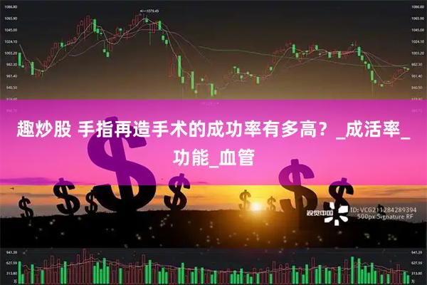 趣炒股 手指再造手术的成功率有多高？_成活率_功能_血管