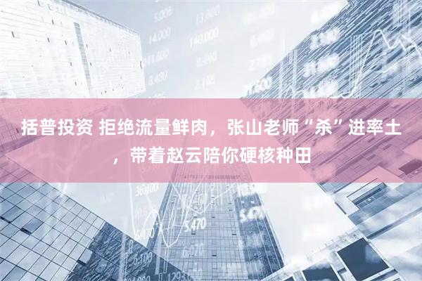 括普投资 拒绝流量鲜肉，张山老师“杀”进率土，带着赵云陪你硬核种田