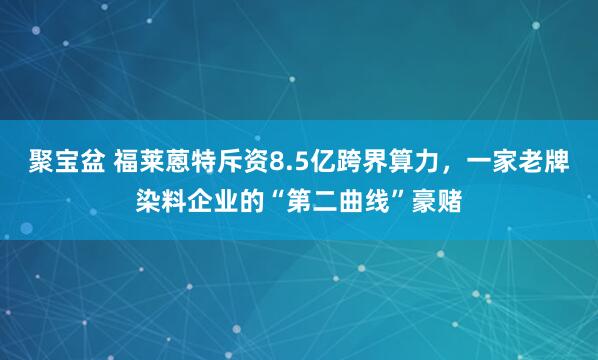 聚宝盆 福莱蒽特斥资8.5亿跨界算力，一家老牌染料企业的“第二曲线”豪赌